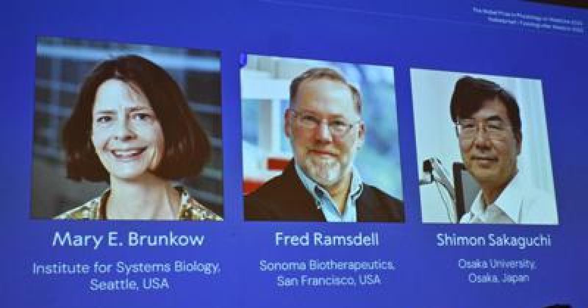 Nobel per la Medicina a Brunkow, Ramsdell e Sakaguchi: hanno scoperto la 
