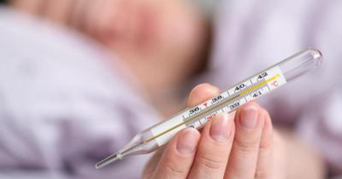 Influenza, l Influenza, l
