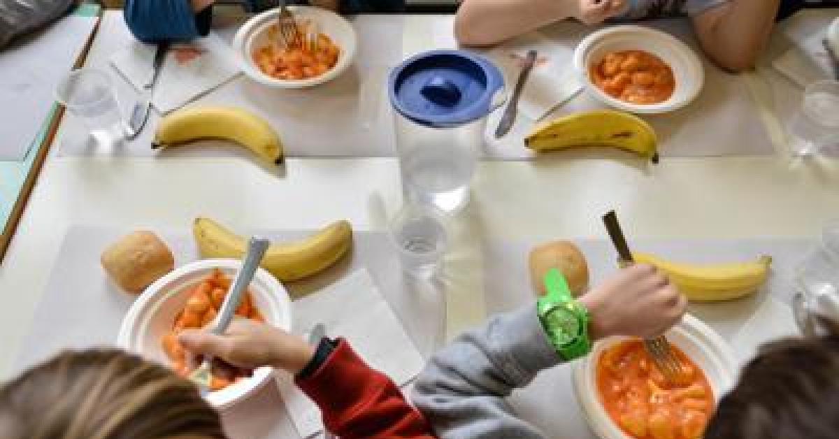 giornata mondiale alimentazione pediatra 20 buone abitudini per bimbi a tavola 
