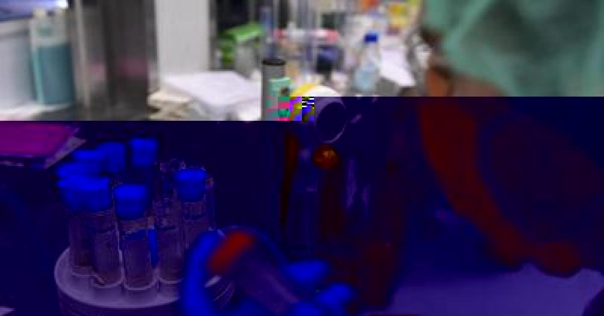 Legionella, il batterio che ama tubature e condizionatori: casi in aumento in Italia