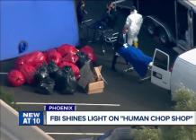 Phoenix, corpi donati e parti di essi venduti da Biological Resource Center, FBI: &ldquo;Nelle celle frigorifere scene frankensteiniane&rdquo; - VIDEO