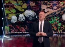 Fratelli di Crozza, Monologo sul caso della "Famiglia del Bosco"