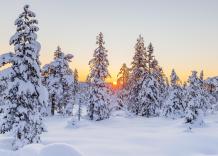 Solstizio d&rsquo;inverno, dai Saturnali romani a Yule (e il preludio al Natale): ecco la storia dietro ogni 21 dicembre