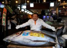 Giappone, tonno da 243kg venduto all&rsquo;asta a Tokyo a 510,3mln di yen (&euro;2,8mln), battuto il record del 2019 (333,6 milioni di yen)