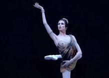 Firenze, sospeso spettacolo di Svetlana Zakharova al Maggio, ballerina ucraina filorussa, ambasciata di Mosca: "Succubi di Zelensky"