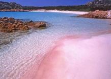 Sardegna, addio alla casa del guardiano davanti alla spettacolare spiaggia rosa di Budelli