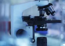 Cnr: la ricerca scientifica asset fondamentale per la competitivit&agrave;