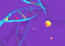 AIRC, viaggio nella cellula umana per scoprire come nasce la ricerca