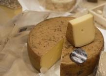 Dal latte di cammella al Giappone: a Berna il mondiale dei formaggi