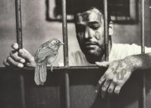 La Project Room del PAC Milano presenta il duo Insomnia