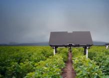 Nei campi i robot agricoli guidati dall'Ai e a energia solare