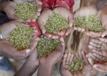 Alimentazione, non solo dieta sana ma anche nutrizione adeguata