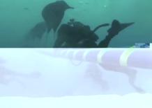 Terna: con Tyrrhenian Link record posa cavo elettrico sottomarino