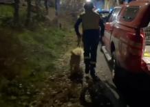 Arezzo, esplosione e crollo di un'abitazione: 3 feriti