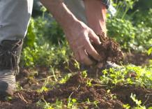 Agricoltori bio custodi della Terra: NaturaS&igrave; per giusto prezzo al cibo