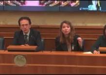 Il racconto in Senato di una donna ucraina violentata da russi, traduttrice non trattiene le lacrime