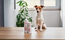 Real Bowl, presentato un olio nutriente per il bulbo pilifero e la salute della pelle dei cani durante la muta stagionale