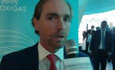 Shell Joao Santos Rosa 