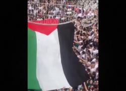 Spagna, alla Tomatina di Buñol bandiere palestinesi fra i lanci di pomodori, oltre 22mila partecipanti : "Stop al genocidio a Gaza" - VIDEO