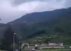 Trentino, un orso spaventato si aggira tra le strade di Arco. Il sindaco "progetto di reintroduzione degli orsi va rivalutato" - VIDEO