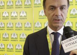 Prandini (Coldiretti): "80 anni di storia e ricordi, generiamo €620 mld con 4 mln di occupati; obbligo di origine cibo come elemento di trasparenza per i consumatori"