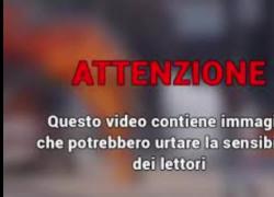 Siria, soldato "eterodiretto da Israele" taglia la gola a un civile, testimone: “Nessuno verrà a difendere o vendicare questi nuovi martiri” - VIDEO CHOC
