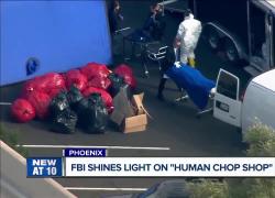 Phoenix, corpi donati e parti di essi venduti da Biological Resource Center, FBI: &ldquo;Nelle celle frigorifere scene frankensteiniane&rdquo; - VIDEO