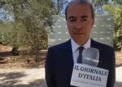 Di Amato (Maire): "300 mln di t di plastiche consumate al mondo, solo il 5% viene riciclato, in Italia 50%; tra 10 anni tecnologia nostro cuore pulsante"
