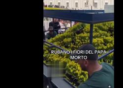 Piazza San Pietro, l'assalto ai camioncini per rubare i fiori rimossi dopo l'annuncio della morte di Papa Francesco - VIDEO