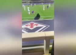 Malore improvviso per il 22enne Bove durante Fiorentina-Inter, “crisi epilettica e infarto”, partita sospesa - VIDEO