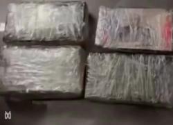 Bulgaria, sequestrati 4 chili di cocaina impacchettata con immagini di Putin a Sofia, arrestato un uomo per spaccio - VIDEO