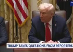Gaza, Trump spalleggia l'Idf e punta il dito contro Hamas: "State violando l'accordo, comportatevi bene e siate gentili, o sarete sradicati" - VIDEO