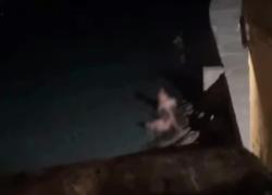 Gallipoli, sesso di gruppo sul lungomare davanti a tutti, coppie nude riunite nella spiaggia della Purità - VIDEO