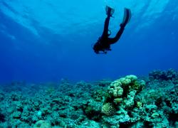 Isola del Giglio. Underwater Pro Tour-APS con il Rotary per la pulizia dei fondali
