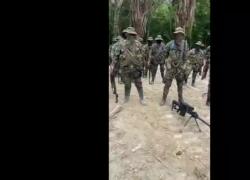 Omicidio biologo Alessandro Coatti in Colombia, ipotesi dello zio: "Traffico di organi", i paramilitari: "Noi estranei" - VIDEO
