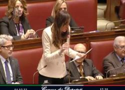 Rosa Chemical a Sanremo, Morgante (FdI) non ci sta: "Porta il gender fluid al festival" - VIDEO