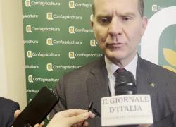 Giansanti (Confagricoltura): "Comunità energetiche, valore assoluto per l'agricoltura, coniugando sostenibilità e riduzione costi"
