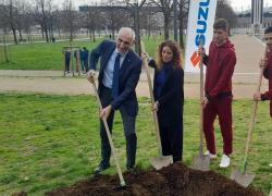 Si allarga il "Bosco diffuso Suzuki", 29 nuovi aceri donati alla citt&agrave; di Torino