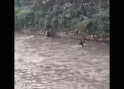 Nepal, ministro Finanze Paudel picchiato e inseguito a Kathmandu da manifestanti in un fiume: oltre 22 morti in proteste contro governo - VIDEO
