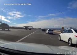 Aereo vola a bassa quota vicino all'autostrada e si schianta contro un edificio dell'aeroporto di Honolulu - VIDEO