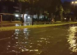 Maltempo, nubifragio in Emilia Romagna, caduti 90 mm di pioggia in poche ore, allagamenti, alberi caduti su binari, autorità: "Non uscite" - VIDEO