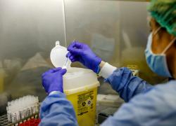 Covid, sviluppati nanoanticorpi che bloccano il virus