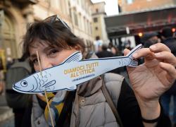 Altro che Sardine, abbiamo bisogno di salmoni che procedano controcorrente