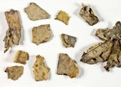 Manoscritto biblico di oltre 2.000 anni fa ritrovato a Israele: l'incredibile scoperta
