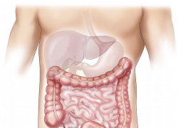 Tumore al colon, scoperto meccanismo alla base delle metastasi