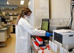Covid, variante giapponese resistente al vaccino? Cosa c'è da sapere 