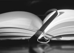 'Il guscio delle cose' o il disvelamento dell'invisibile

