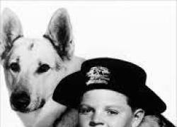 E' morto Lee William Aaker, il Rusty de "Le avventure di Rin Tin Tin"