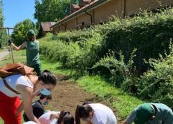 Parte “Scuola Forestami”, il progetto speciale di Forestami in partnership con AXA Italia  

