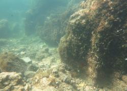 Scoperte vasche romane nelle acque di Baia.   Avilia: "risalgono alla prima età augustea"